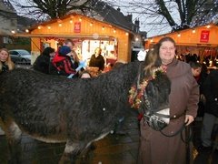 DSCN2478