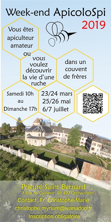 abeilles 2019 2 abeilles 2019 2
