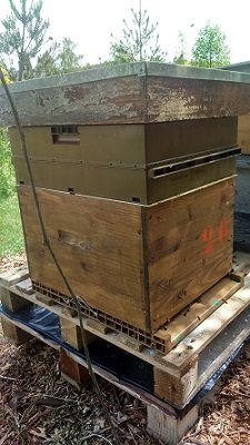 OTT2 Installation d un rucher au Prieuré 225 par 400