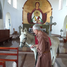 L'âne dans la chapelle