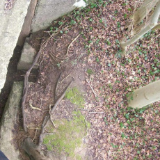 Vue au dessus du blockhaus