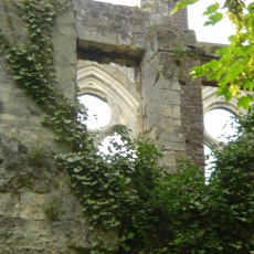 Les ruines de l'Abbatiale d'Ourscamp