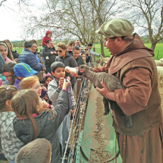 Frère Mariano avec les enfants et les moutons