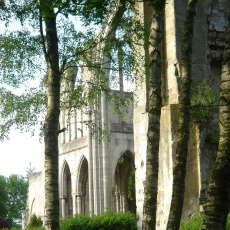 Les ruines de l'Abbatiale d'Ourscamp