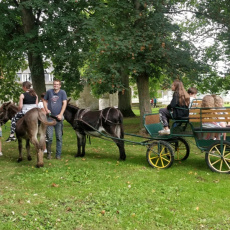 Visite de l'Abbaye en charette