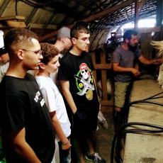 Visite d'une ferme, traite des chèvres