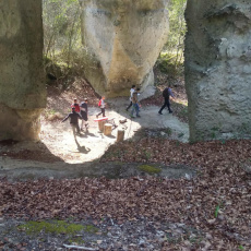 Sortie dans les bois