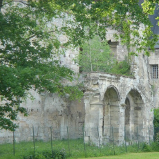 Les ruines de l'Abbatiale d'Ourscamp